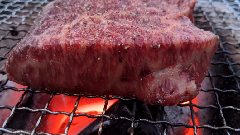 gemakkelijk Echter tekort Vlees grillen: een unieke en veelzijdige manier om vlees te bereiden
